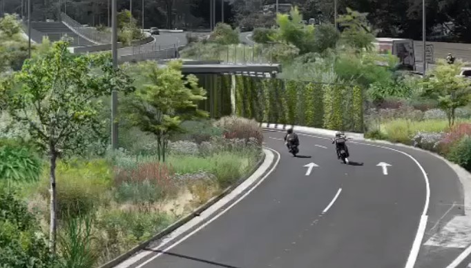 MOPT impulsará plan para «embellecer» con naturaleza distintas obras viales a lo largo de la Circunvalación