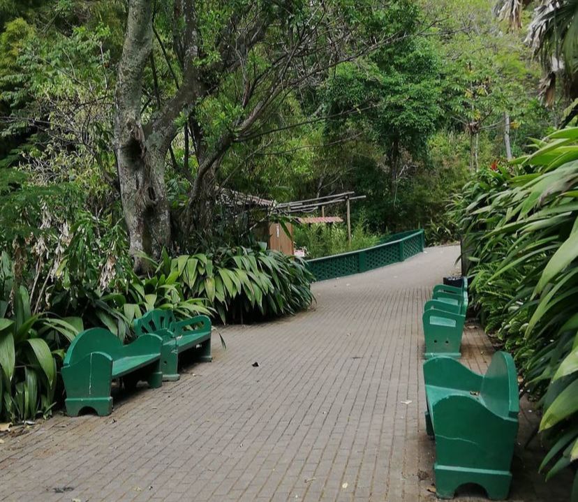 Concejo Municipal de San José solicita a diputados trasladar terreno del Parque Simón Bolívar al municipio