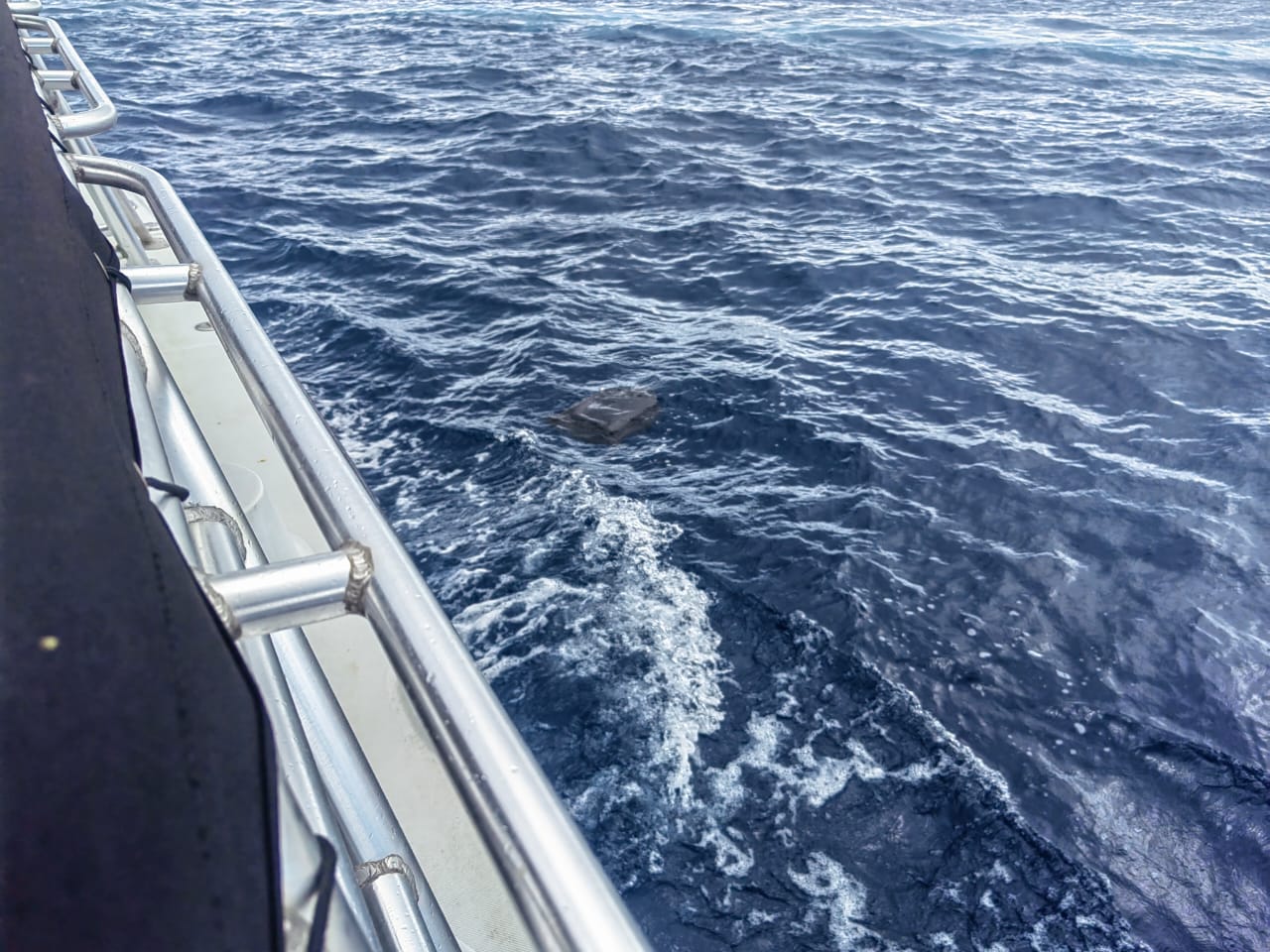 Ubican 249 paquetes de droga en mar abierto: Seguridad cree que embarcación los dejó ahí al detectar presencia policial