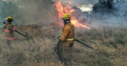 Temporada de incendios forestales cerró con cifra récord de 141 emergencias