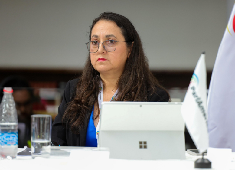 Sala IV admite para estudio amparo de diputada oficialista por falta de firma a proyecto de Ley por parte del Presidente