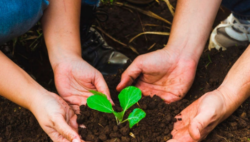 Día Mundial del Ambiente: Estado de la Nación señala puntos que podrían poner en riesgo la imagen verde del país