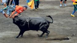 ¡Atención amantes de los toros! Canal 6 transmitirá corridas desde Centro de Eventos Pedregal en los próximos cuatro años