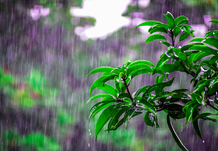 Junio contabiliza más de 80 incidentes por inundación: Onda Tropical No. 7 afectará al país el domingo