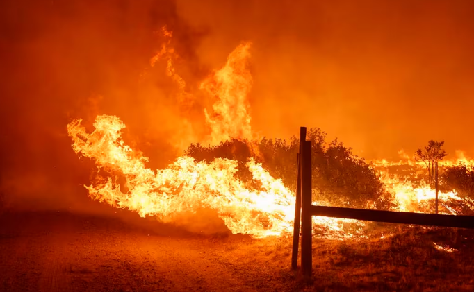 Incendios en California: al menos 1.200 personas fueron evacuadas