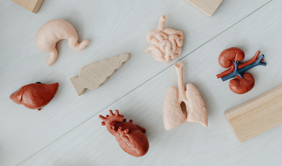 Más de 1400 personas esperan por donación de órganos y tejidos en el país