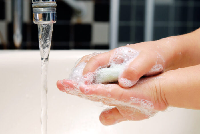 Expertos llaman a la prevención tras primer fallecimiento por gusano barrenador