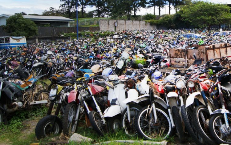 Estado gasta más de $3 millones anuales en mantener vehículos no reclamados en patios del COSEVI