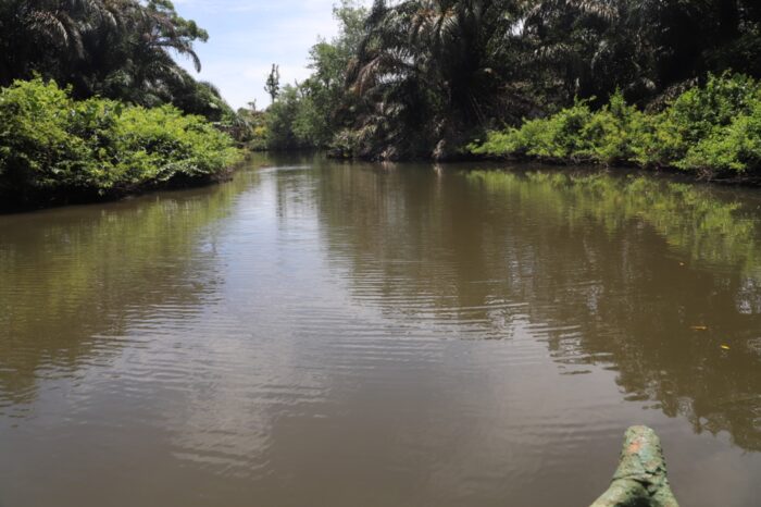 Muestreos realizados concluyen que en Río Sixaola hay presencia de más 30 plaguicidas