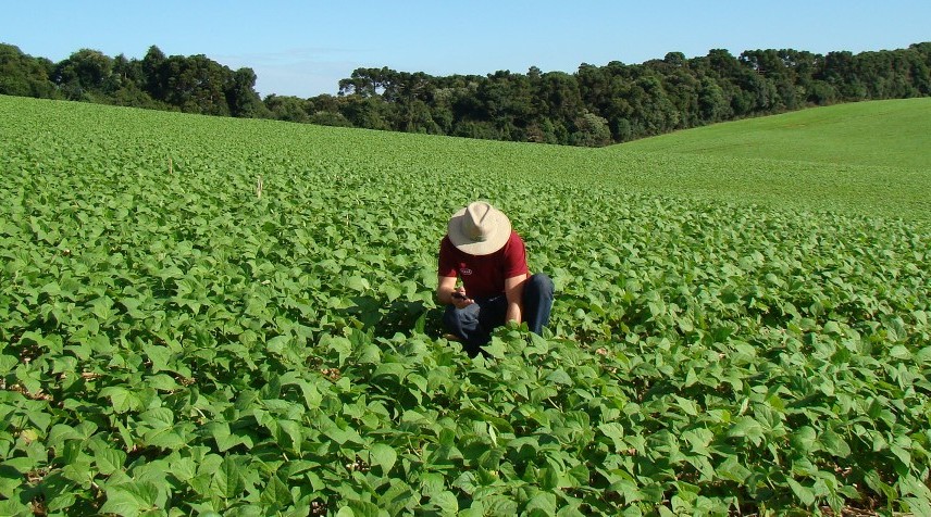 Agricultores aseguran ‘sentirse solos’ ante crisis climática y reciente afectación en productos
