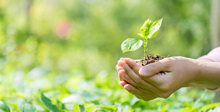 Municipalidad de San José organizará feria en conmemoración del Día Mundial del Ambiente