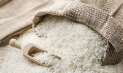 Cámara de Agricultura lamenta reducción en arancel del arroz y teme afectación para productores