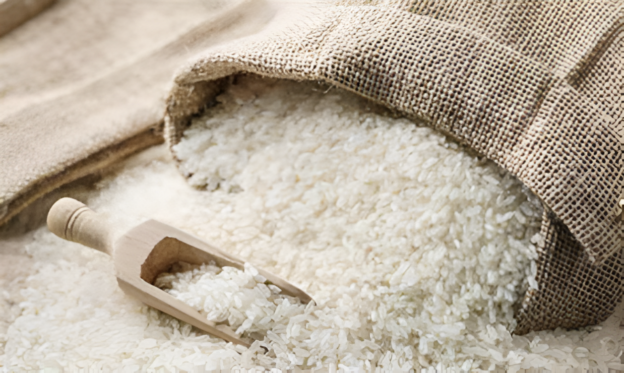 Cámara de Agricultura lamenta reducción en arancel del arroz y teme afectación para productores