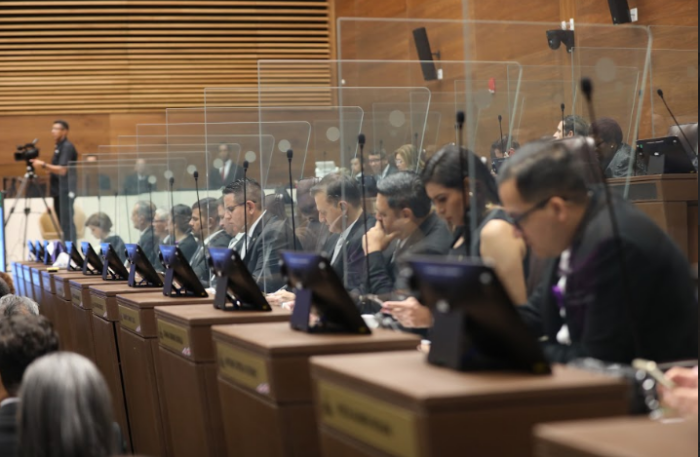 PLP continuará trabajando su propia consulta de constitucionalidad sobre proyecto de Ley ‘Jaguar’