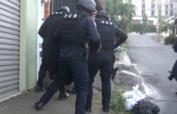 PCD intervino una ‘narcofamilia’ cada 18 días durante el primer semestre del año