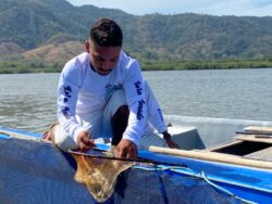 INCOPESCA contabiliza 14 inconsistencias por pesca durante veda en Golfo de Nicoya