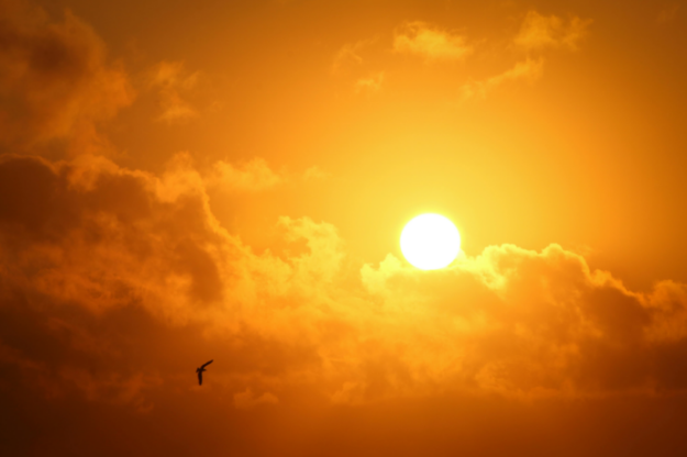 IMN prevé que primera quincena de agosto tenga influencia del periodo canicular con reducción de lluvias