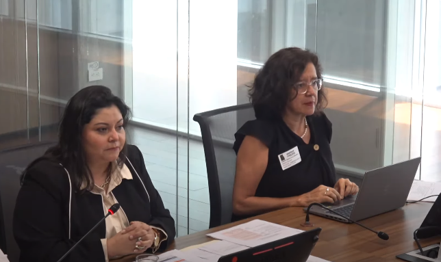 Ministra de la Mujer justificó ante diputados por qué no se declaró emergencia nacional ante violencia contra mujeres