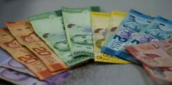 UCR disminuye expectativas de crecimiento para la economía del país este año