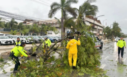 El ciclón Beryl deja lluvias «fuertes» en la frontera norte de México