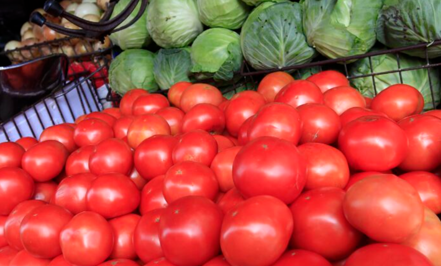 Sobreproducción provoca caída de hasta 66% en el precio del tomate este año