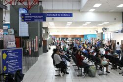 TSE extenderá horario para solicitud y entrega de cédulas a partir de la próxima semana