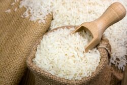 Guanacaste también nos aporta arroz, caña de azúcar y productos que vienen de la ganadería