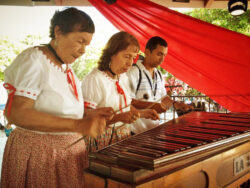 ¿Qué instrumentos tenemos en Costa Rica por influencia de la cultura guanacasteca?
