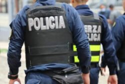 Oficiales sospechosos de atropellar a perro enfrentarán juicio expedito y descontarán medidas cautelares