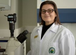 Experta de la UCR estima que primeros casos de ‘Oropouche’ en Costa Rica se detectarían en las costas