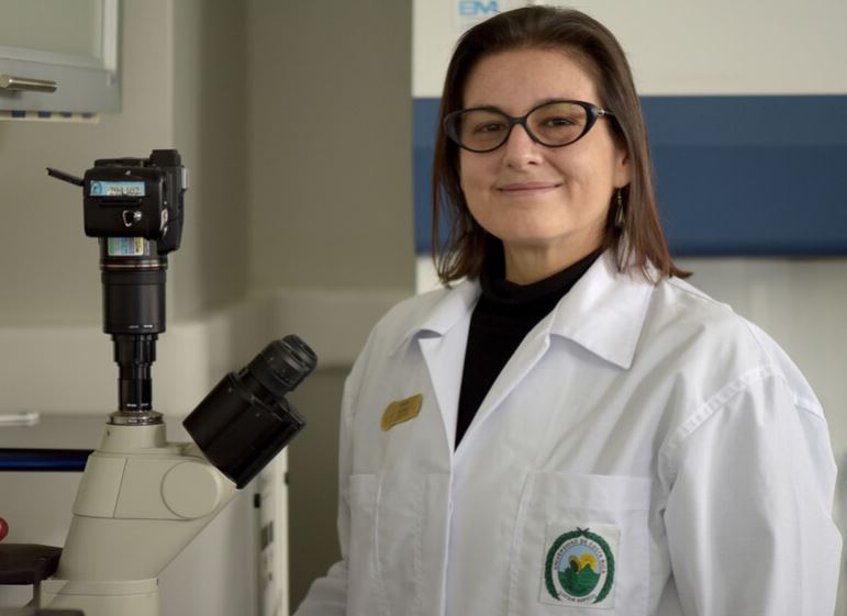 Experta de la UCR estima que primeros casos de ‘Oropouche’ en Costa Rica se detectarían en las costas