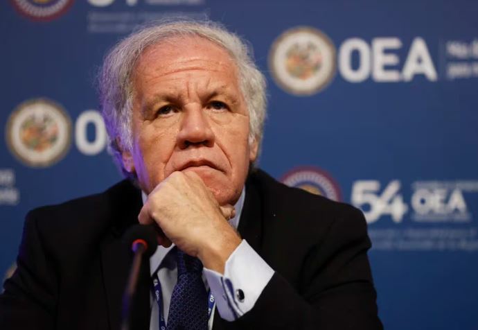 La OEA repudió la citación de la justicia chavista a Edmundo González para declarar en Venezuela: “La fiscalía es un instrumento de la opresión”