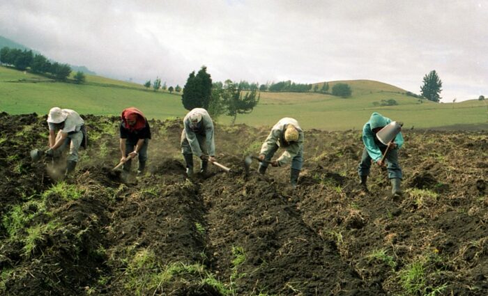 Cámara Nacional de Agricultura reprocha poco interés de Comisión Legislativa para aprobar proyectos al sector