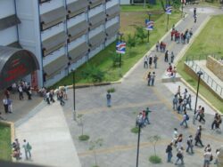 UNA abrirá proceso para que estudiantes puedan realizar solicitud de becas por condición socioeconómica