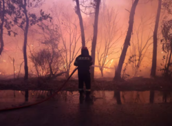 Cientos de bomberos luchan contra un incendio cerca de Atenas en Grecia: más de 35.000 personas evacuadas