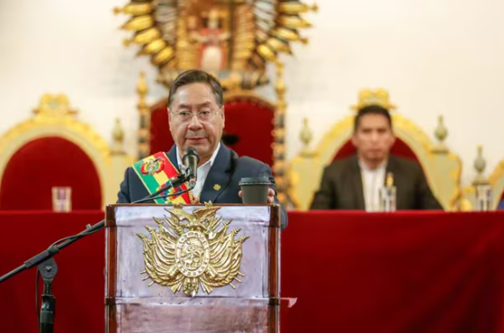 Las claves del referendo propuesto por Luis Arce en Bolivia y las críticas que despierta