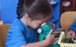 MEP habilitó prematrícula para prescolar, escuela y colegio 2025 hasta este viernes