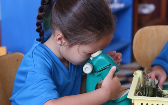 MEP habilitó prematrícula para prescolar, escuela y colegio 2025 hasta este viernes