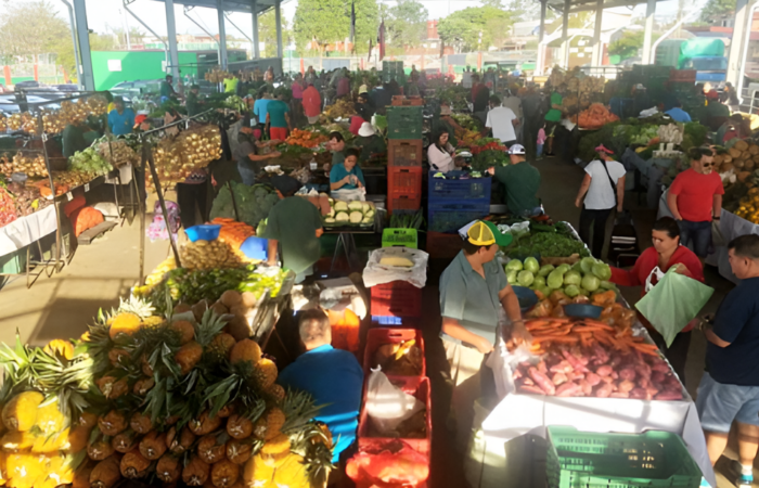 Cebolla, papa y tomate muestran disminuciones en el precio entre 10% y 22% en las Ferias del Agricultor