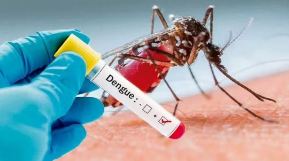 Salud emite protocolo para atención de dengue: Investiga 13 fallecimientos relacionados a la enfermedad