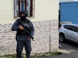 Desarticulan banda dedicada al tráfico ilícito de migrantes: Cobraban hasta $14 mil por trayecto