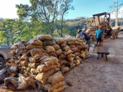 Proyecto de Ley permitiría ampliar permiso para explotación de oro en Abangares hasta diciembre de 2030