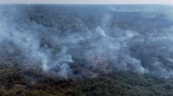 Crece la preocupación de los pueblos de la Amazonia en medio de los incendios, los proyectos que invaden sus tierras y el blanqueo ecológico