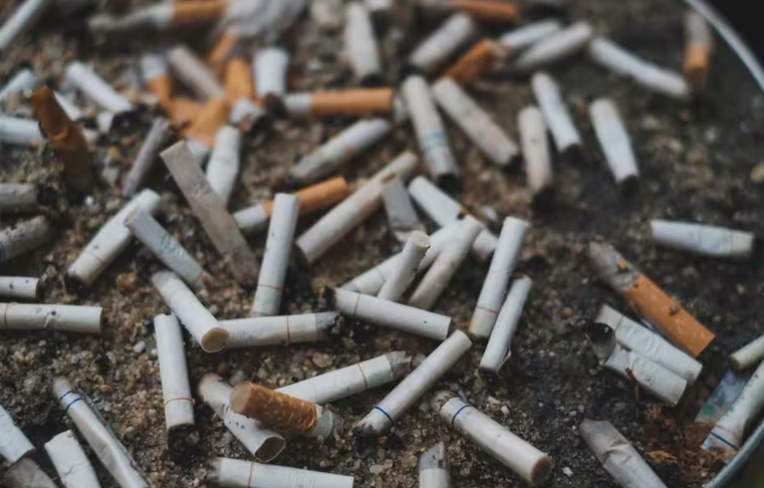 Comisión rechazó plan que buscaba prohibir fumado en playas o ríos para reducir contaminación por colillas de cigarro