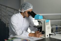 Autoridades registran en promedio 14 casos por día de miasis por gusano barrenador en el país