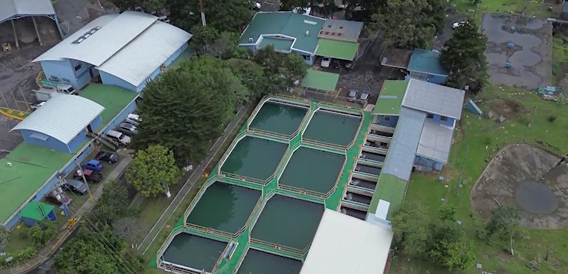 AyA presentó denuncia penal por contaminación de agua en Planta Potabilizadora de Guadalupe