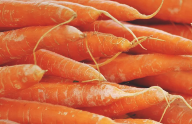 Zanahoria fue el producto con más variación interanual a agosto de este año: Alza fue de 120%