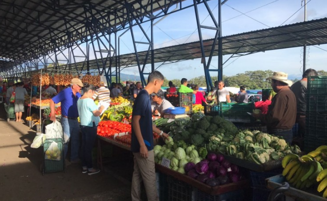 ¿Va para la feria? Cebolla, chile dulce, repollo y tomate están hasta 18% más caros
