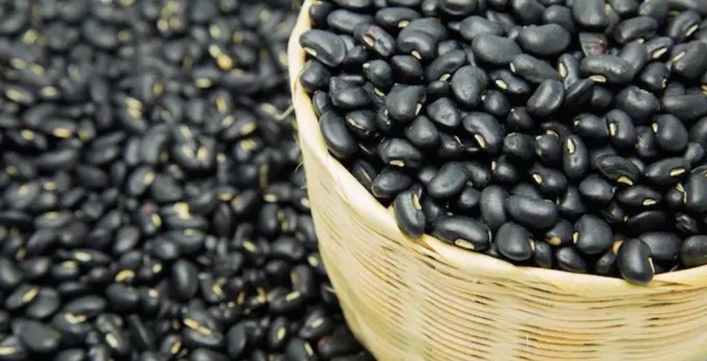 Costarricenses consumen la mitad de frijoles que hace 20 años