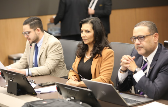 Diputada del PLN advierte de recorte en presupuesto del ICD
